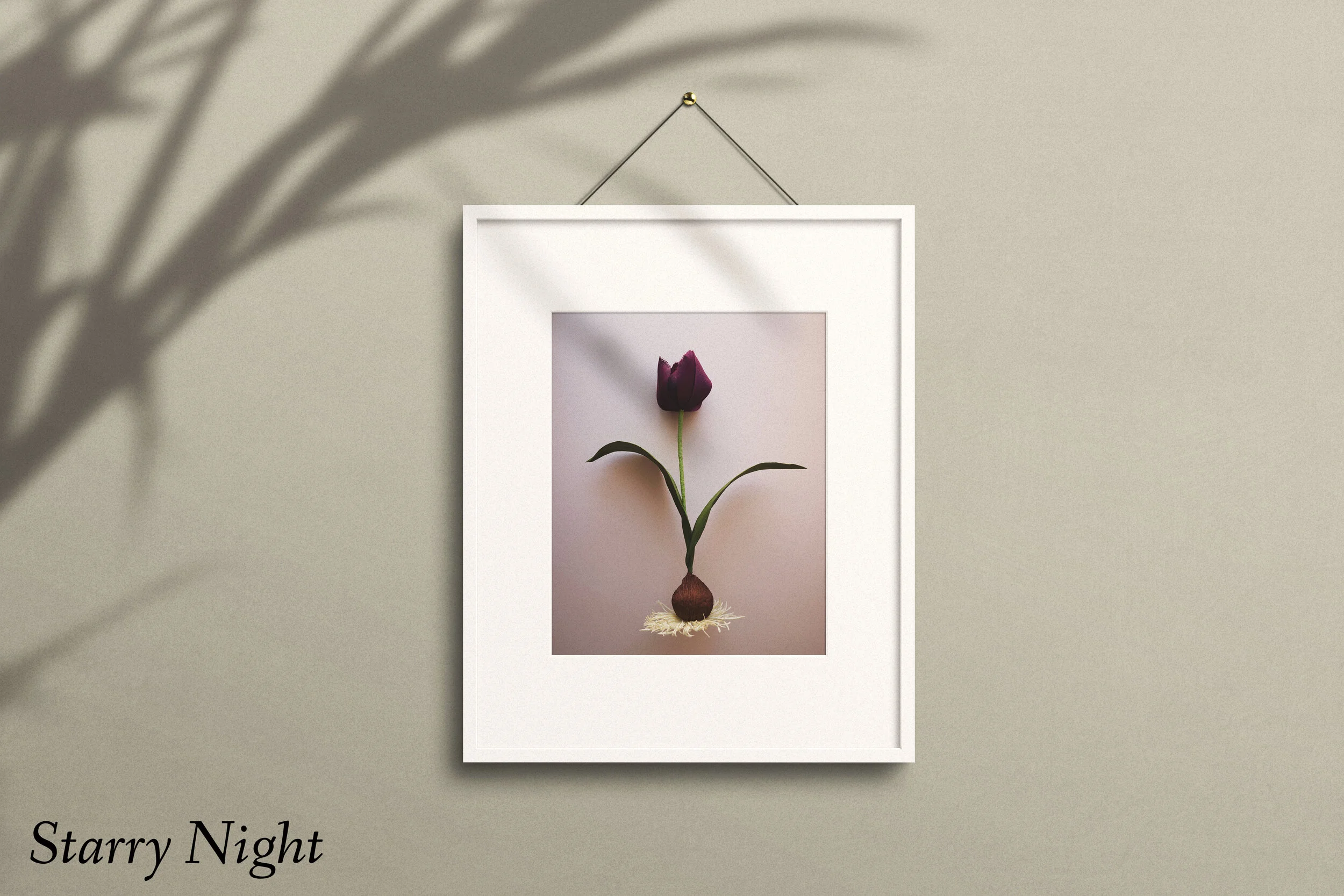 【値下げ】(73)戦前 志那上海絵はがき6枚
中華民国郵政明信片発行 Old Chinese Newspapers, Printable Asian Paper Pack, Shanghai